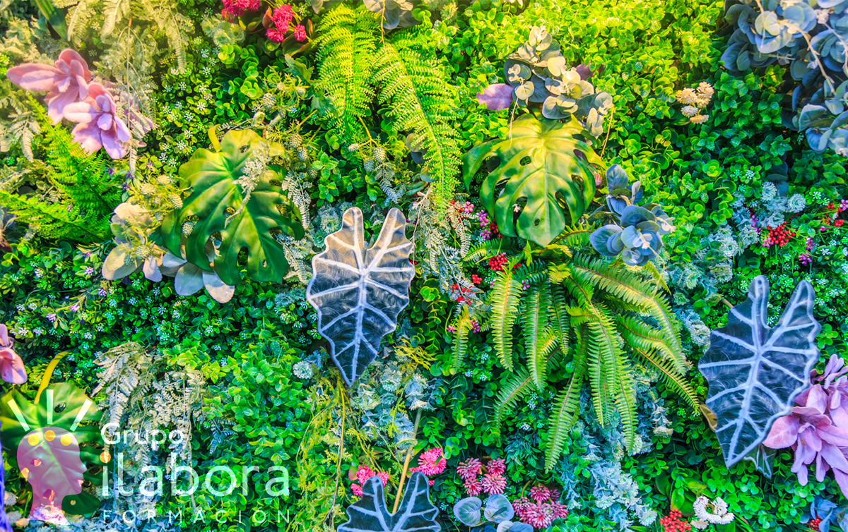 La Jardinería Vertical