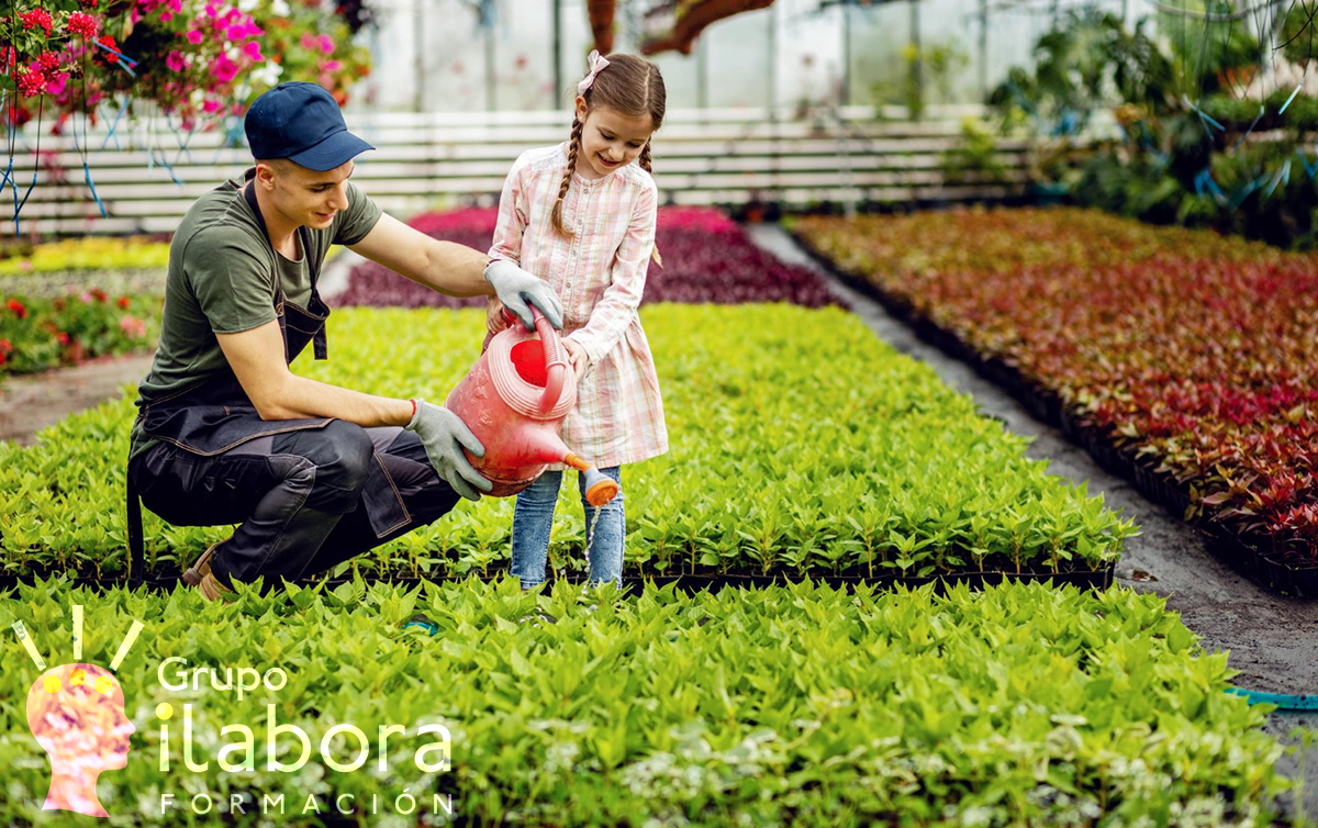 Huerto Urbano Ecológico: Cultivando la Sostenibilidad en la Ciudad