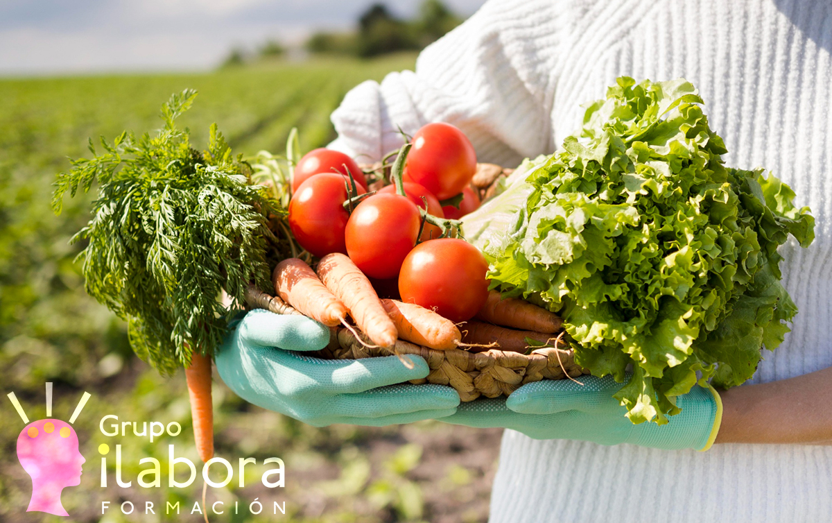 Curso de Agricultura Ecológica: Fertilización, Suelos y Cultivos
