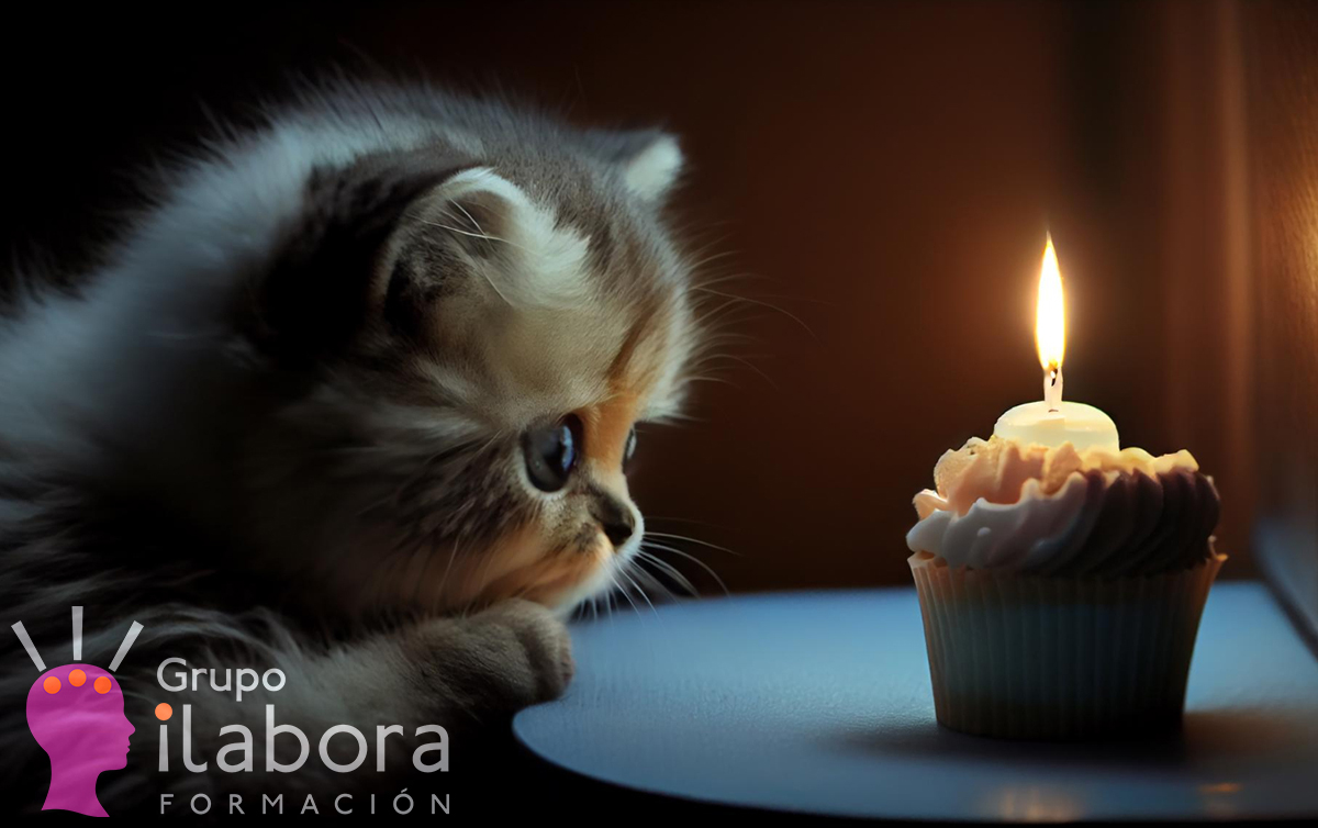Cuidados del gato 4