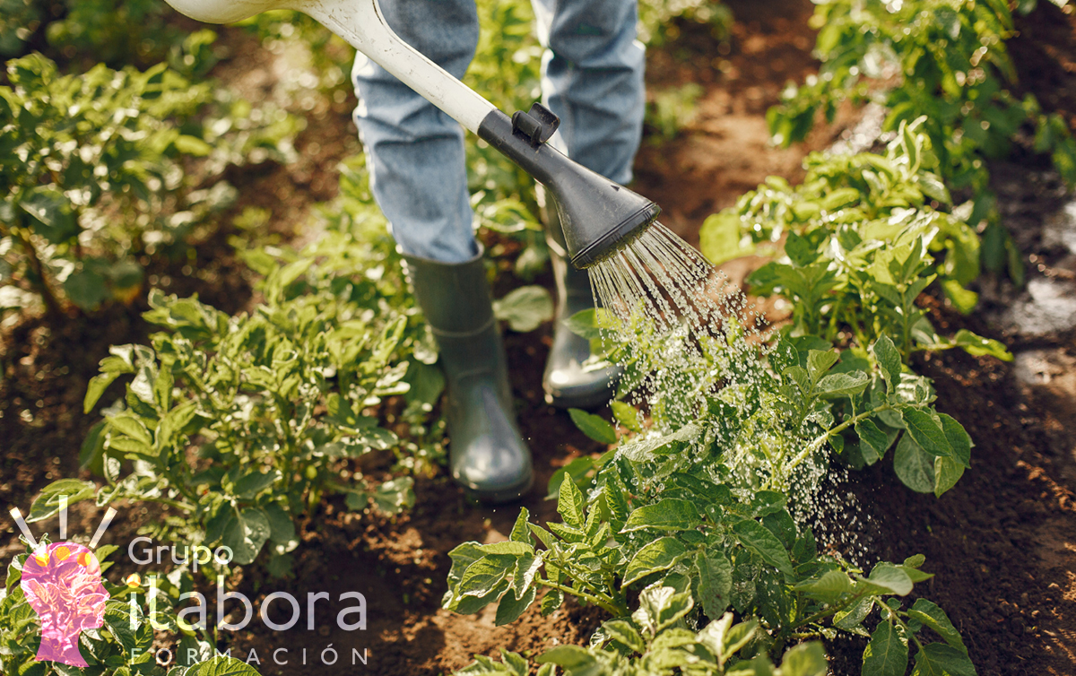 Agroecología