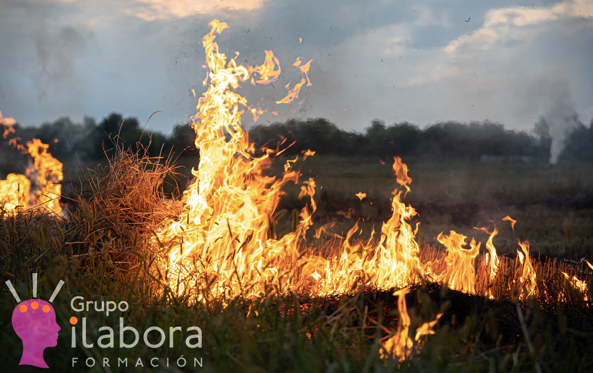 Incendios 2