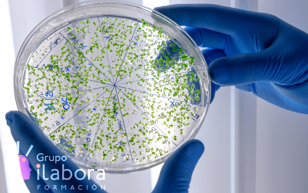 Legionella