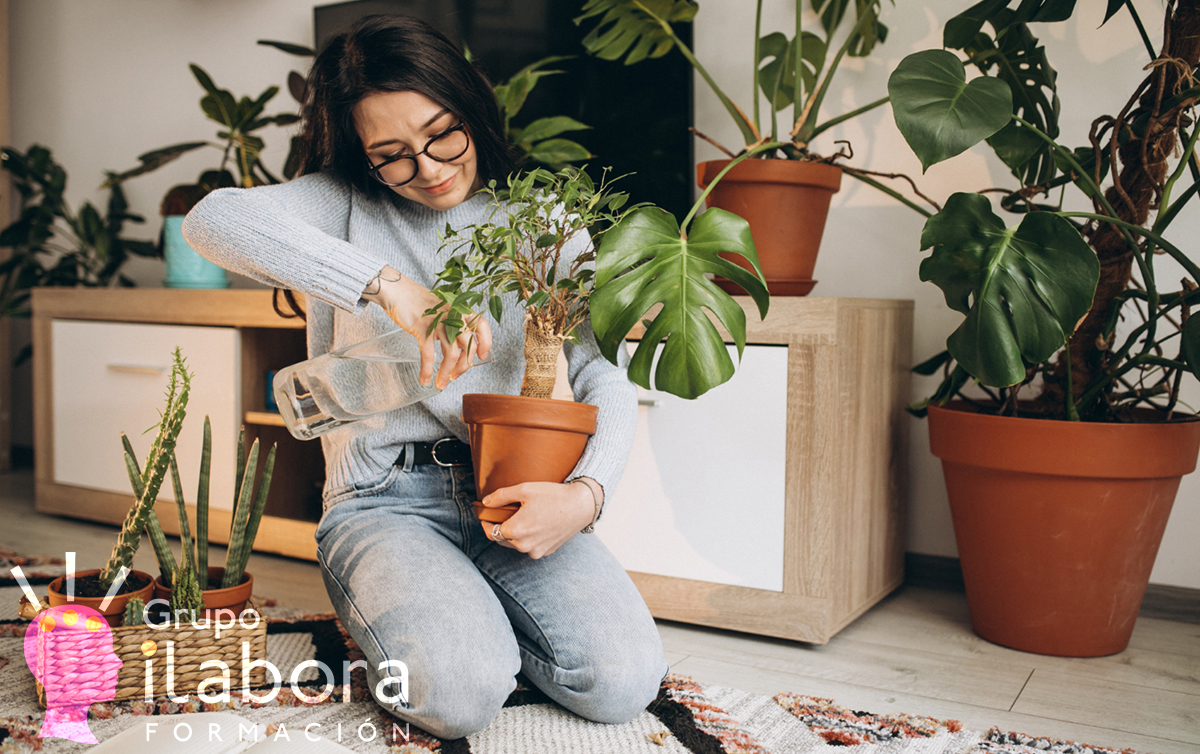Jardinería 1