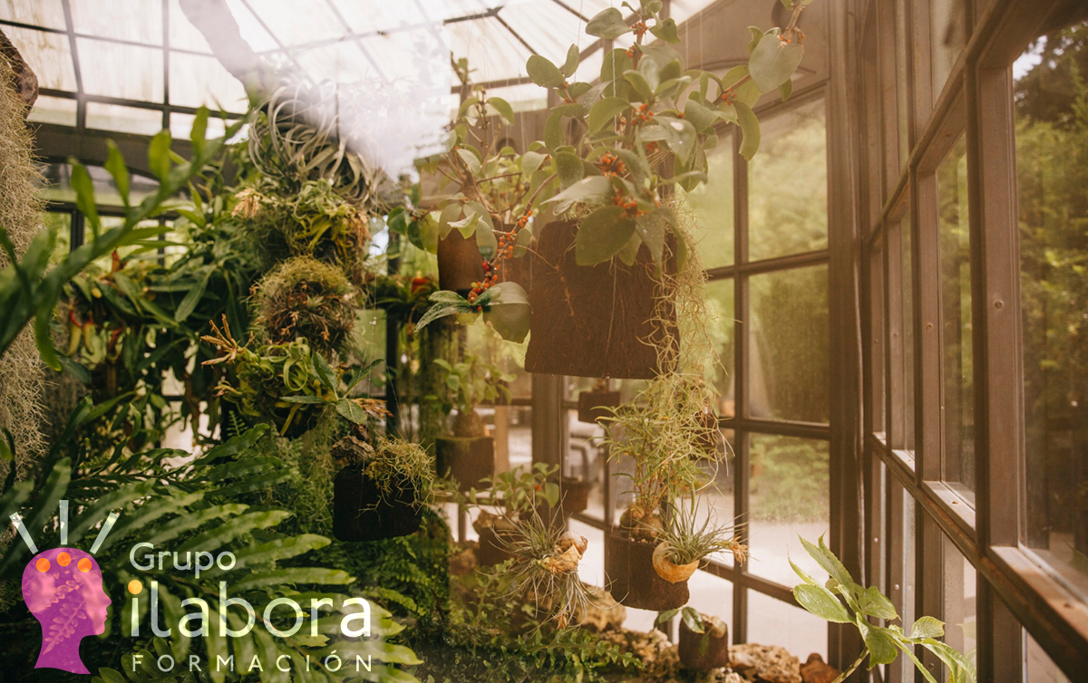 Jardinería