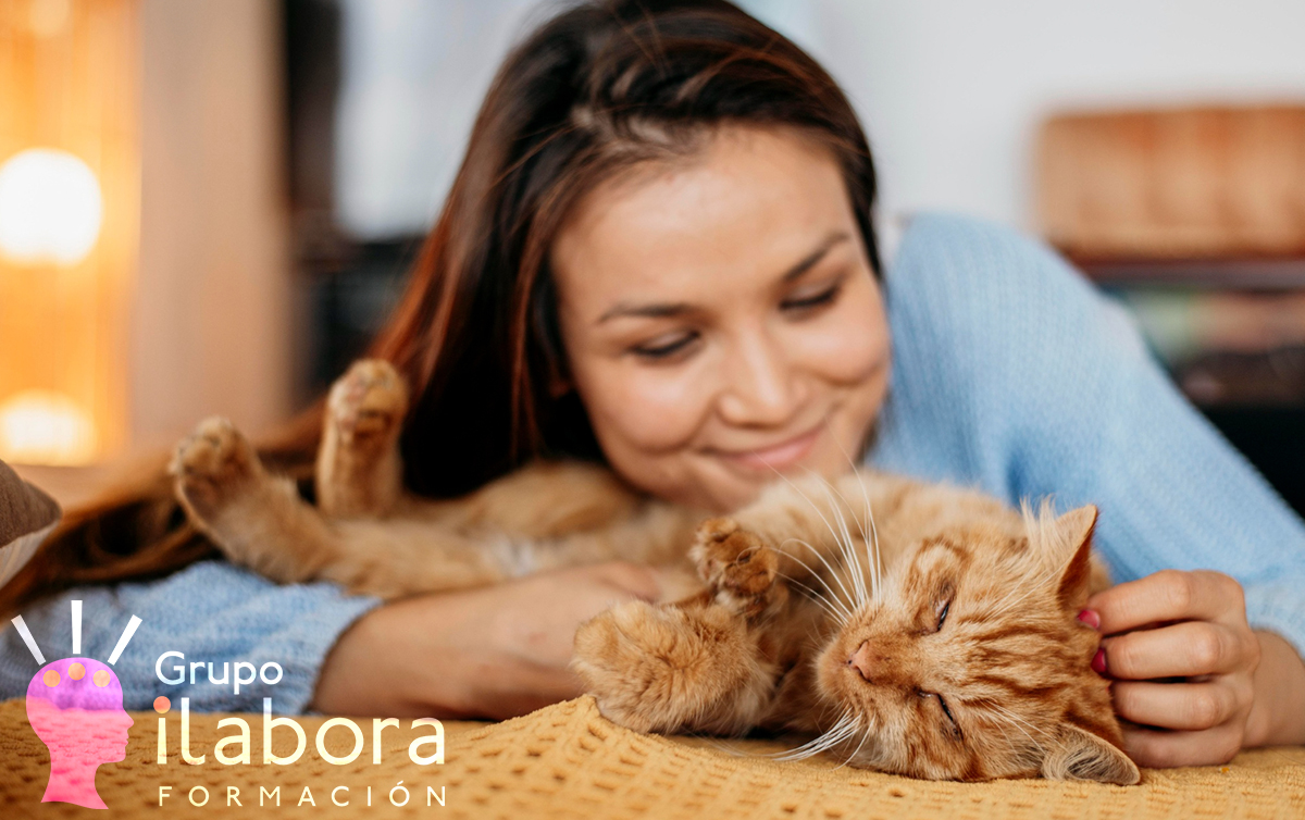 Cuidados del gato 2