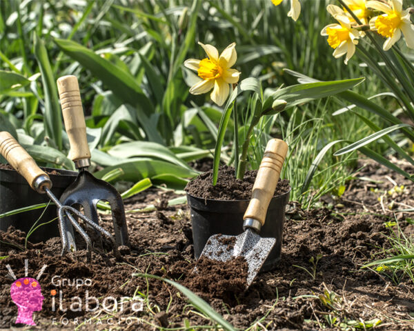 Pack de Cursos de Jardinería